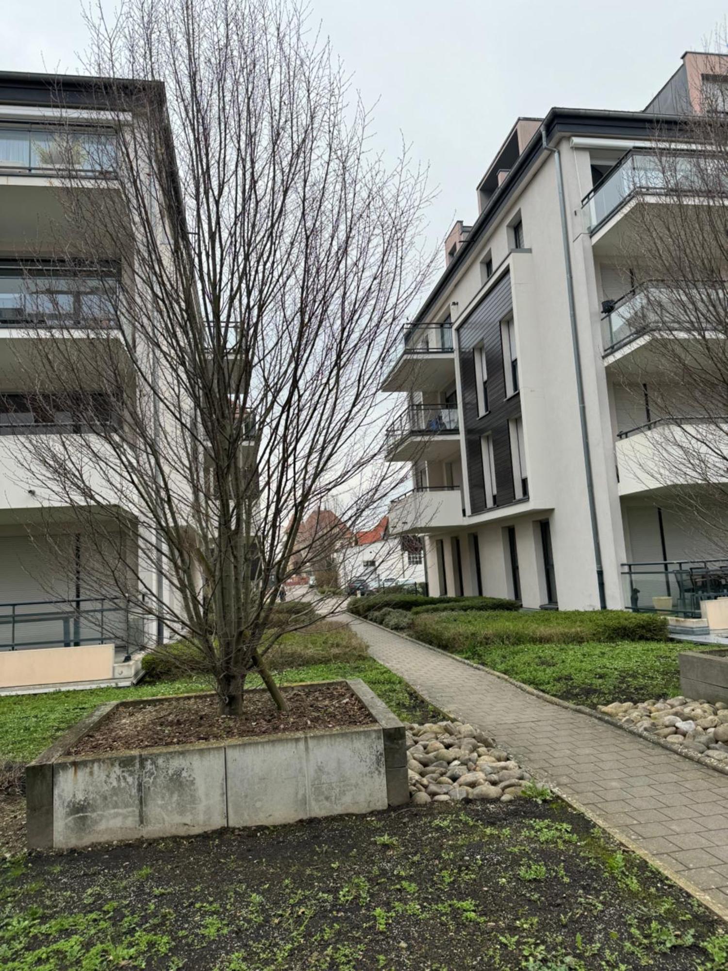 Le "Petit Colmarien" A 1Mn Du Centre公寓 外观 照片